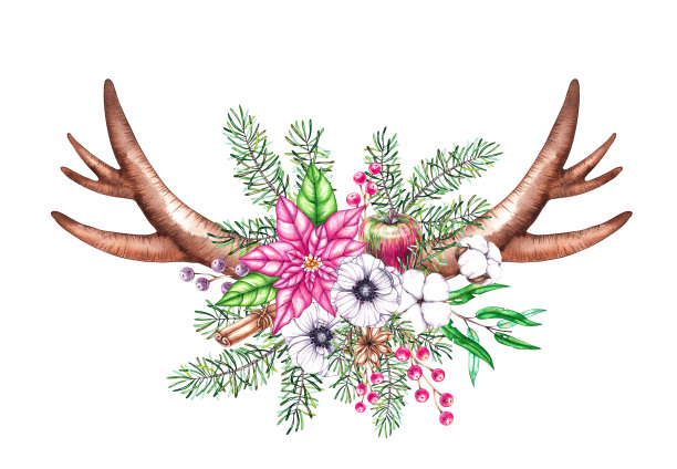 水彩画的圣诞角与花，针组成图片下载