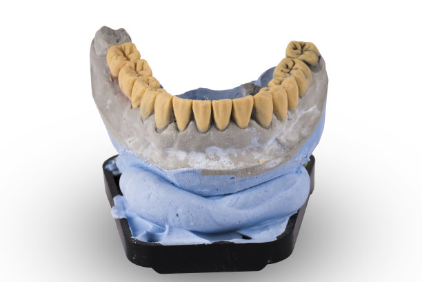 白色上分离的人颌骨石膏模型图片下载