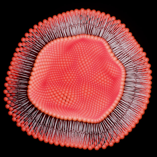 脂质双分子层或磷脂双分子层。图片下载