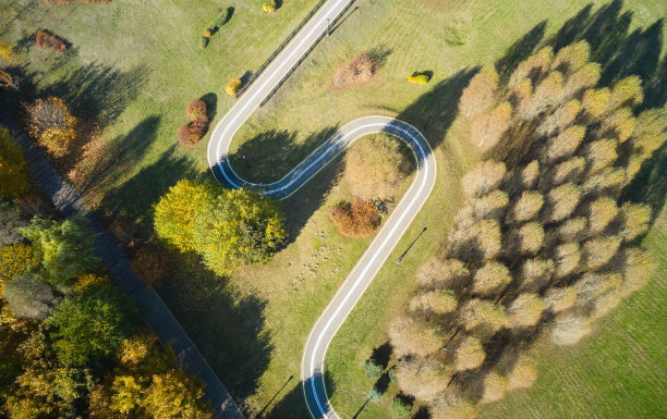 森林中的道路鸟瞰图。前视图。图片下载