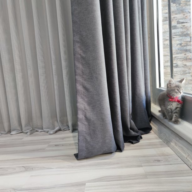 戴着红丝带的小猫图片下载