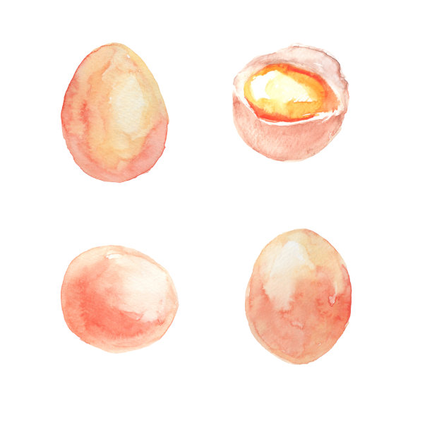 水彩画的鸡蛋和蛋黄插图图片下载