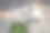女孩用手势惩罚狗。杰克罗素梗把盆栽植物放在地毯上。家里乱糟糟图片下载