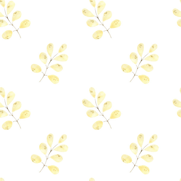 水彩图案与精致的黄色叶子，树枝与叶子，植物插图图片下载