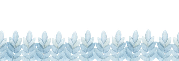 水彩边界与蓝色的叶子，树枝与叶子，植物插图在白色的背景图片下载