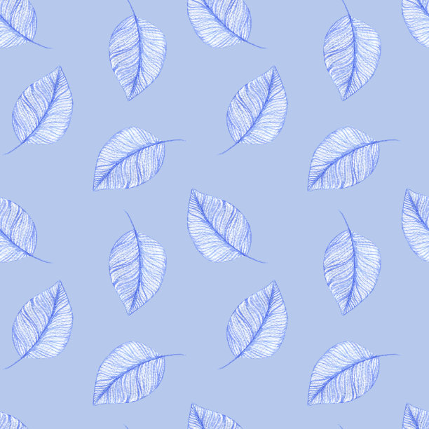 水彩图案与精致的蓝色叶子，树枝与叶子，植物插图图片下载