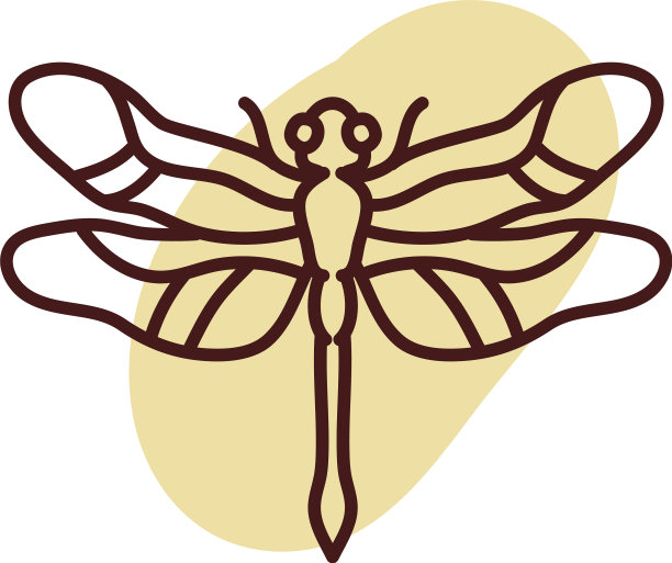 白色背景上的飞虫图片下载