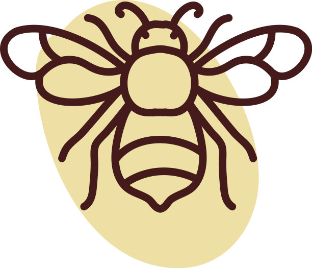 白色背景上飞翔的蜜蜂图片下载