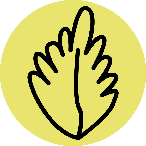 白色背景上的黄色秋叶图片下载