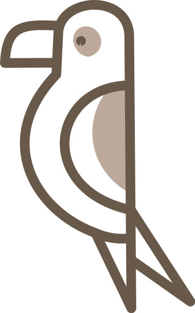 白色背景上的棕色鹦鹉图片下载