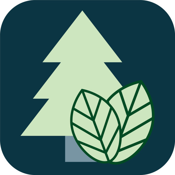 冬天的树，白色背景上的叶子图片下载