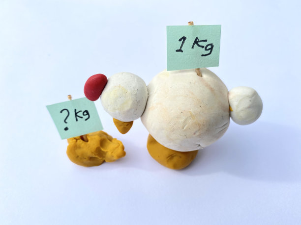 概念，肉鸡饲料转化率。宣传册，目录，传单，幻灯片设计的图像。家禽健康问题。图片下载