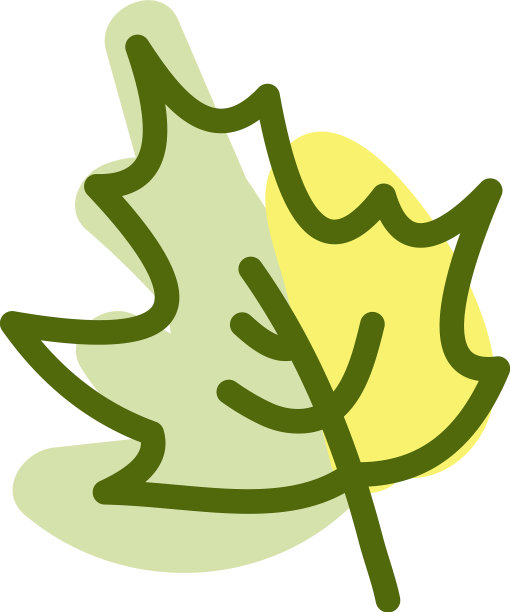 白色背景上的树叶图片下载