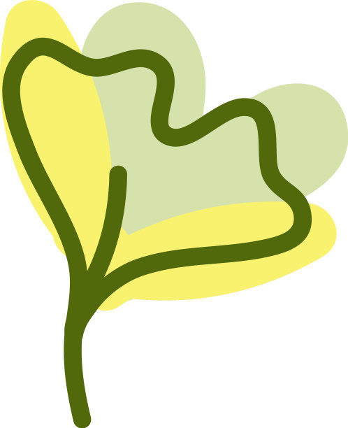 白色背景上的树叶图片下载