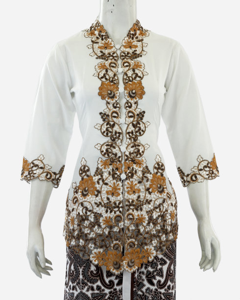 妇女的克巴亚与半袖和美丽的织锦装饰从颈部到前面图片下载