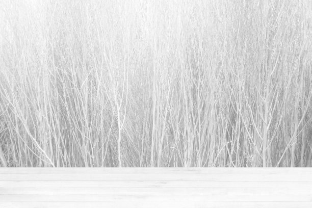 白色木桌与拉丝墙纹理背景，适合产品展示背景，展示，和模拟。图片下载