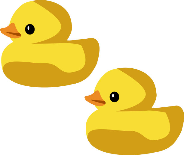 在白色背景上洗澡的鸭子图片下载