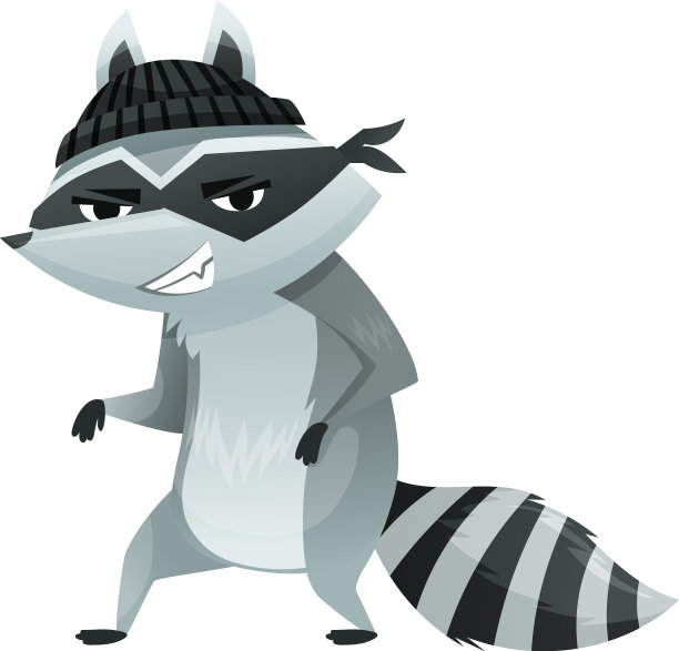 带着面具，带着条纹尾巴的浣熊窃贼图片下载