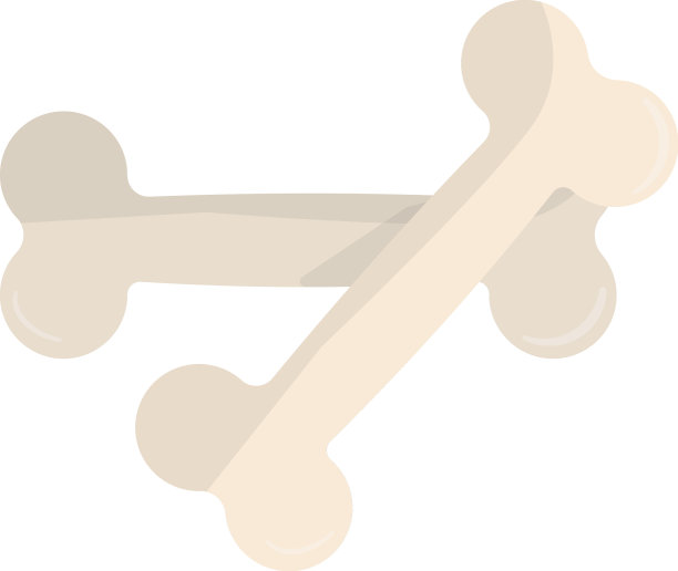 白底上的狗在啃骨头图片下载