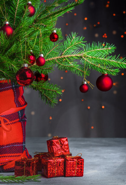 圣诞作文，静物。图片下载