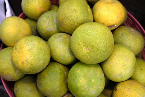 拉近《篮子里的柚子》。图片下载