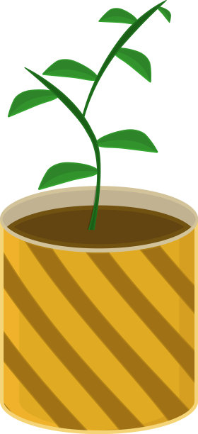 白底黄盆里的花图片下载