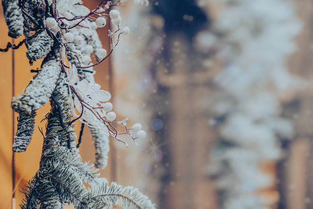 圣诞节的街道装饰，冷杉树枝上覆盖着雪花图片下载