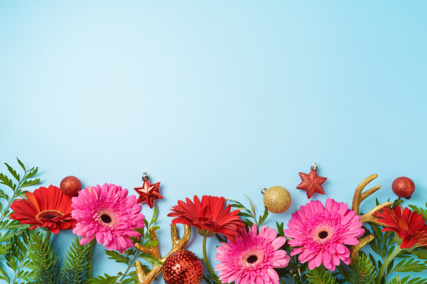 圣诞假期的创意背景与鲜花，绿叶和装饰品。花顶部视图边界框架。平躺图片下载