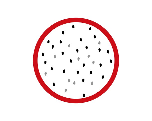 半个牛油果图片下载