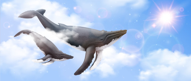 飞鲸逼真背景图片下载