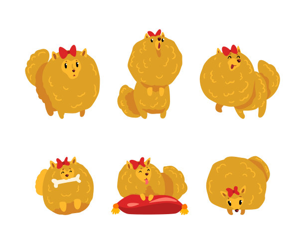 可爱的波美拉尼亚斯皮兹狗，有厚厚的棕色皮毛和图片下载