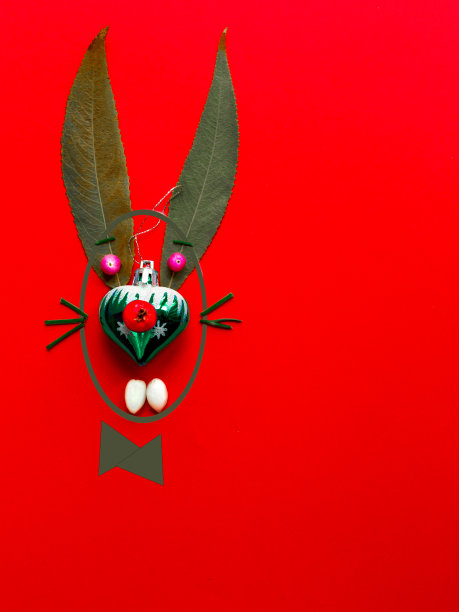 一个有趣的兔子的肖像，由天然材料在红色背景上为中国新年。本空间图片下载