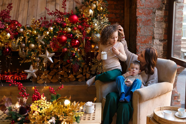 全家欢度圣诞节图片下载