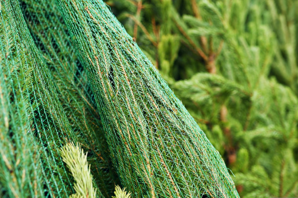 特写的圣诞树在特殊的网里图片下载