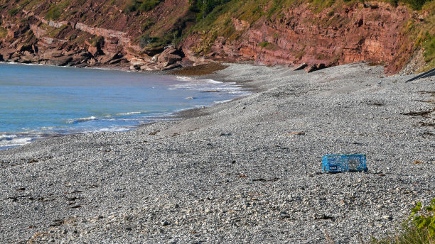 沙滩弃置鸟笼图片下载