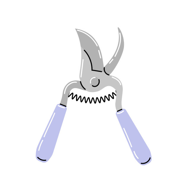 用于植物护理的花园修剪器。图片下载