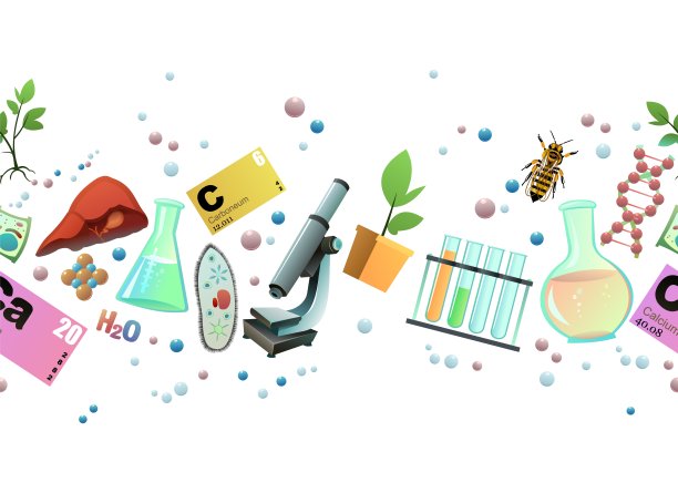 化学无缝水平。卡通风格。科学项目图片。植物、动物和人类活细胞的研究。孤立的白色背景。向量。图片下载