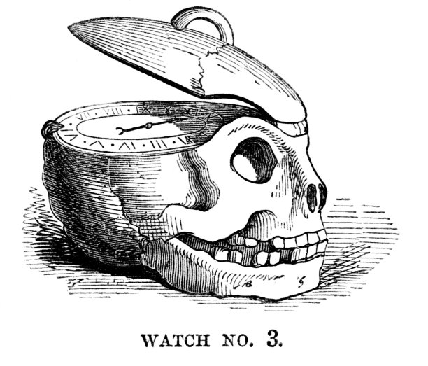 观察骷髅的内部图片下载