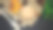 食物模板背景。图片下载