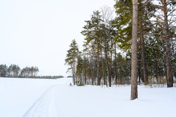 在积雪覆盖的徒步小径，美丽的冬季景观。图片下载