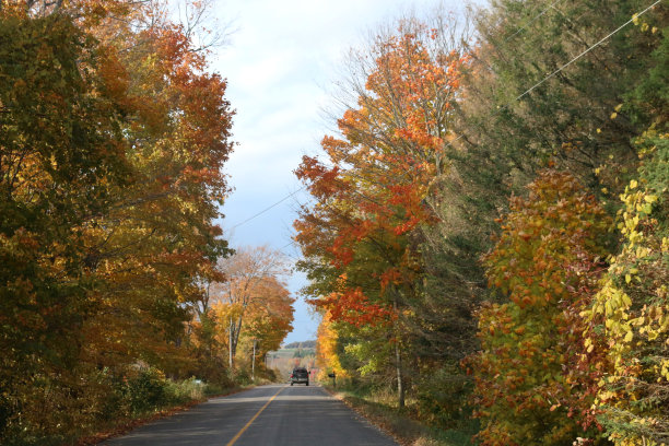 在安大略的小径上的秋天乘坐亚视图片下载