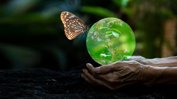 手老扶着护着，为拯救地球土壤上的地球树苗。世界环境，拯救环境。美国宇航局提供的地球图像图片下载