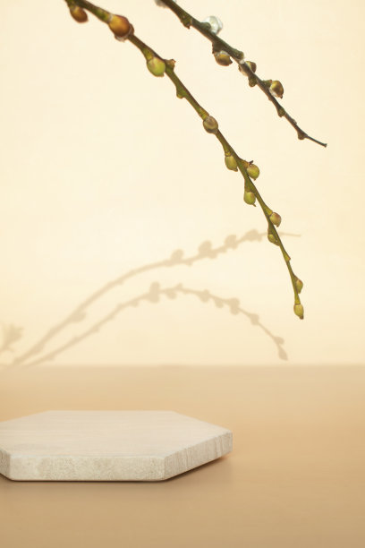 产品摄影平台图片下载