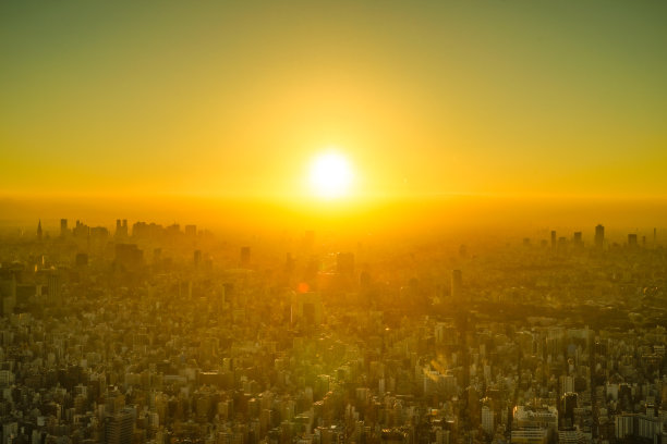 福藤新宿和黄昏图像图片下载