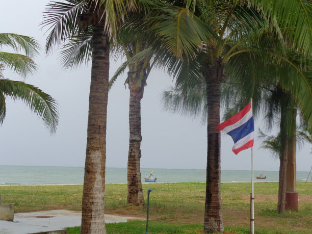 有棕榈树的北南浜海滩图片下载