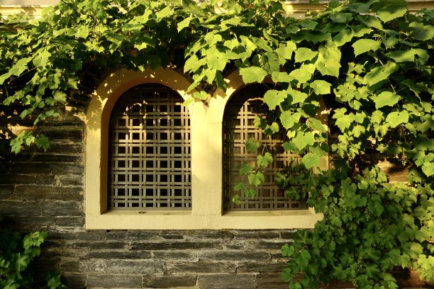 Bernkastel-Kues是德国莱茵兰-普法尔茨州Bernkastel-Wittlich区中莫泽尔河畔的一个小镇。它是一个著名的葡萄酒种植中心。图片下载