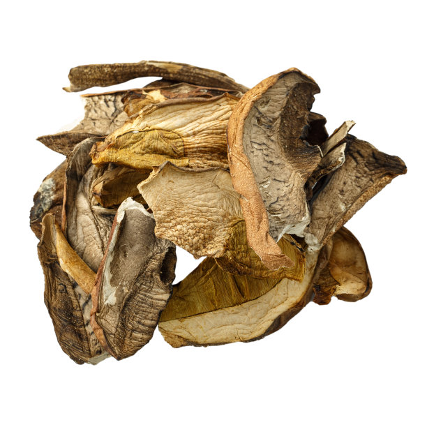 白色背景上的干白蘑菇。图片下载