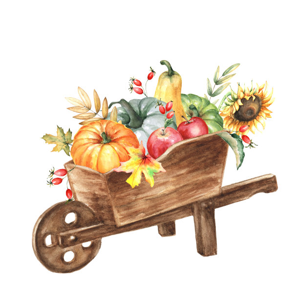 老式木制独轮手推车与收获的南瓜和苹果手工绘制图片下载