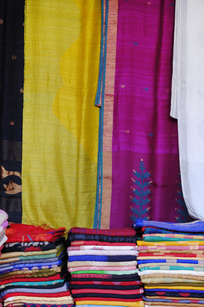 手工制作的印度丝绸纱丽/有金色细节的纱丽，女性在节日，仪式和婚礼上穿，昂贵的纱丽以其金和银的扎里，织锦而闻名。令人难以置信的印度。图片下载