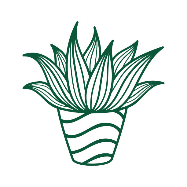 可爱的轮廓在一个锅桑藤。西部植物图片下载